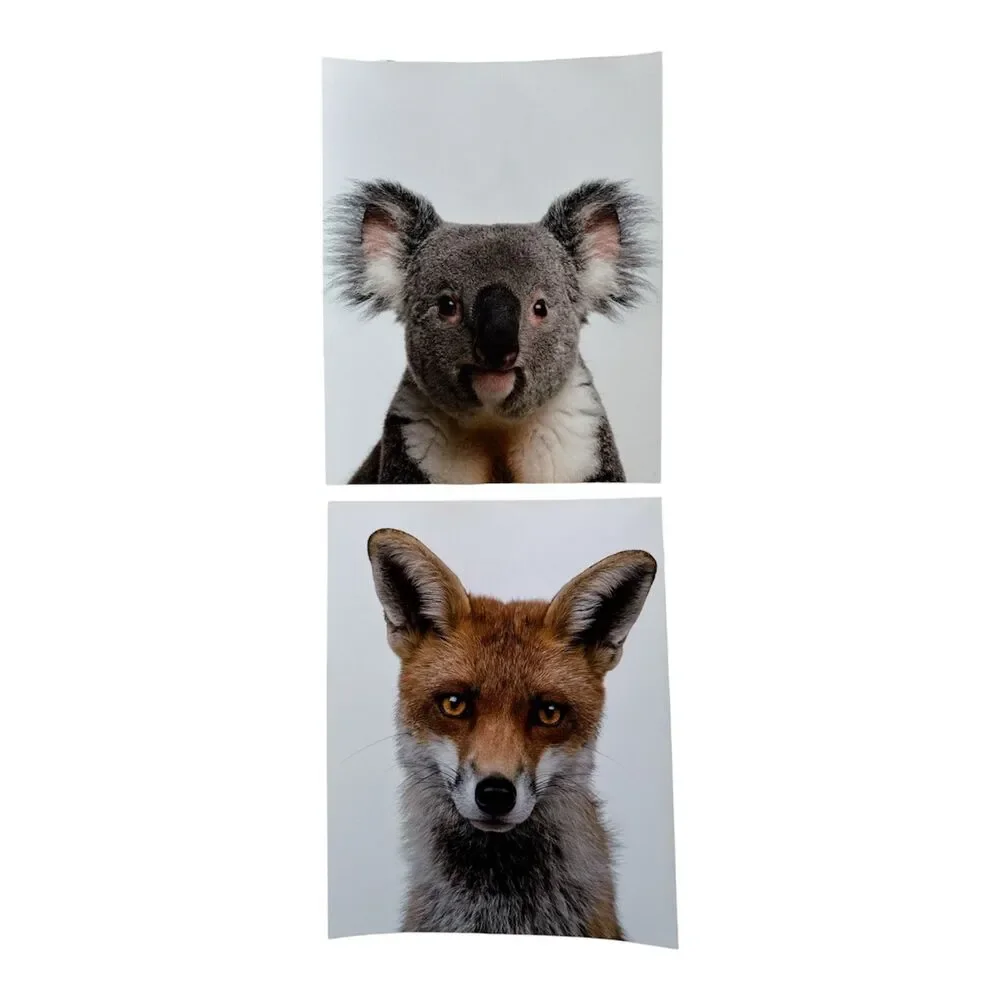 Nursery Wall Art Baby Animal Photography Woodland Zoo Farm Set of 10, 8x10 Inch